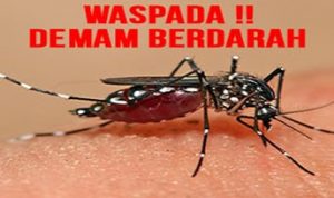 waspada_dbd