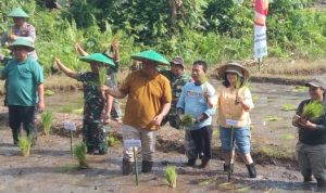IMG-20240720-WA0037-735x400 (1)